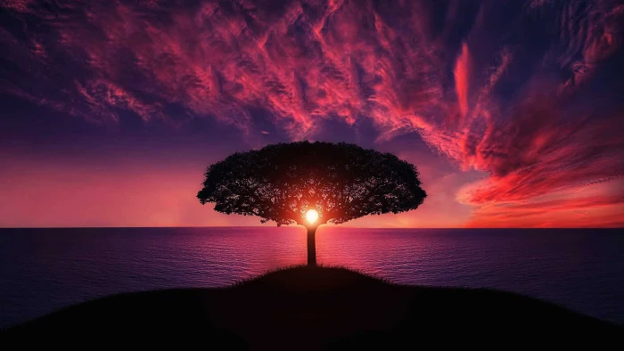 sunset Amazing HD 2k