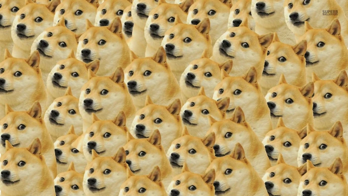 tan akita dog doge memes face full frame large group of objects