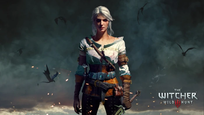 The Witcher Wild Hunt wallpaper girl sword scar 3 2k