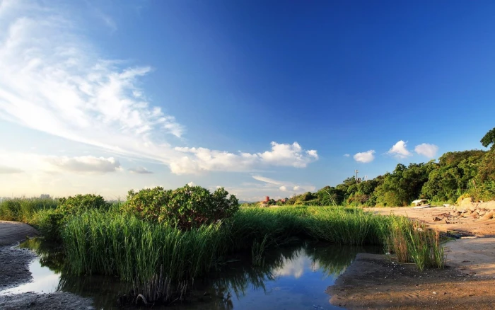 Windows 10 Nature Landscape Wallpaper water plant sky cloud 2k