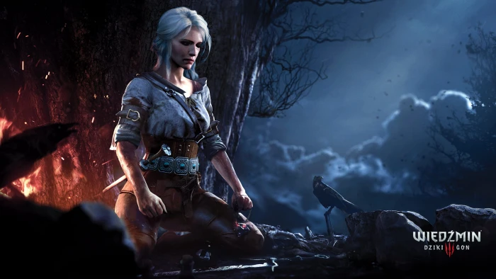 Witcher III Wild Hunt illustration The 3 2k