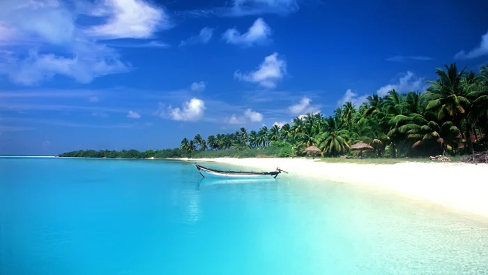 tropical sea boat palm trees beach water scenics nature 2k