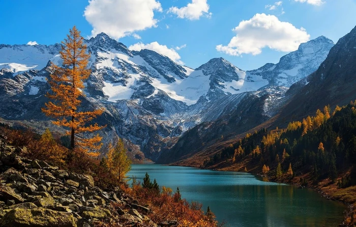 brown leafed trees and snow covered mountains nature lake fall