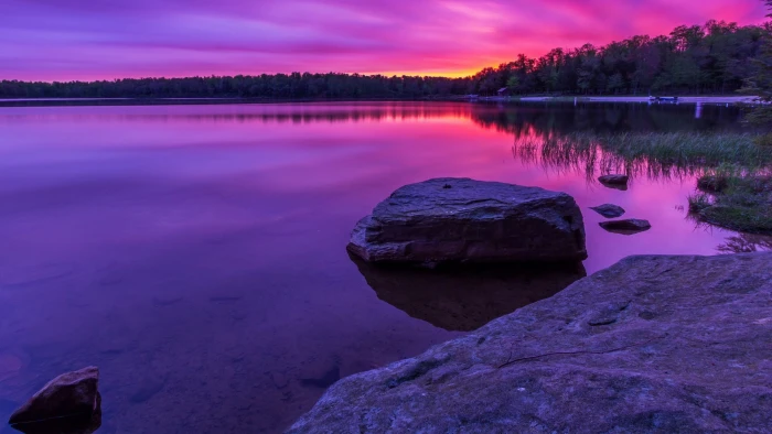 download nature for pc 2k