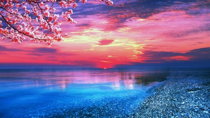 Earth Sunset Beach Ocean