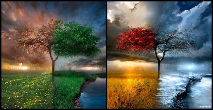 four seasons tree painting landscape trees water clouds collage 2k