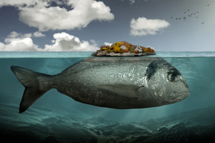 gray fish illustration artwork digital art surreal underwater 2k