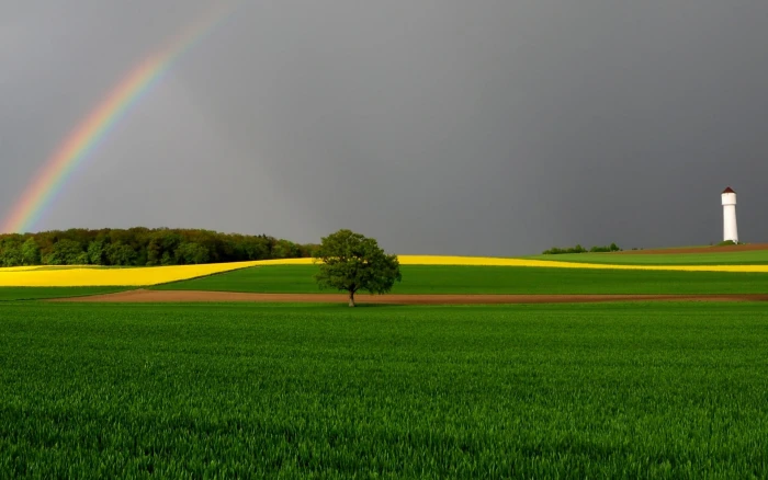 Green Fields and Rainbow nature landscape scenery 2k