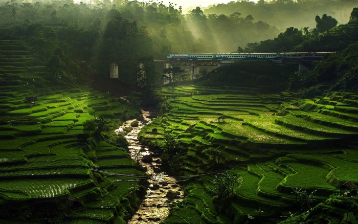 hill landscape nature rice paddy river sun rays field terraces