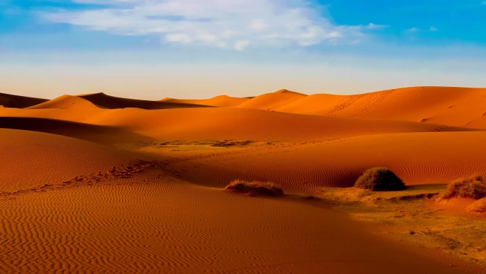 landscape photography of desert nature dune sand Sahara Morocco 2k