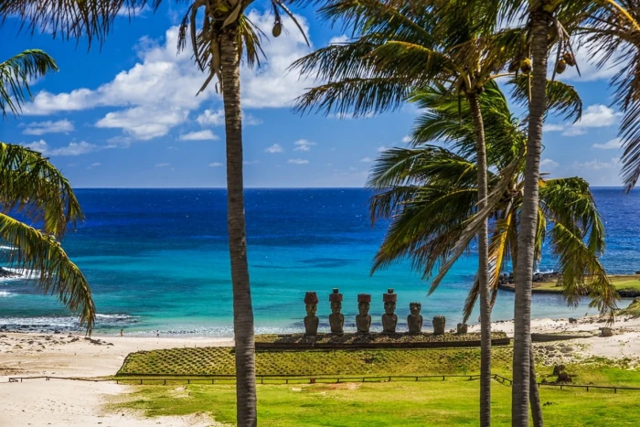 nature landscape beach sea palm trees grass sand Moai