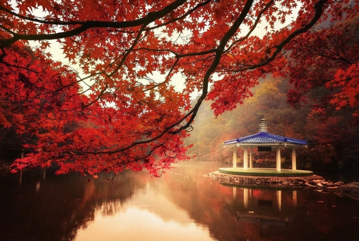 nature landscape fall trees lake hills maple leaves red