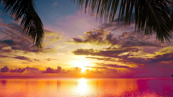 nature sunset beach sky sea sunrise water ocean landscape 2k