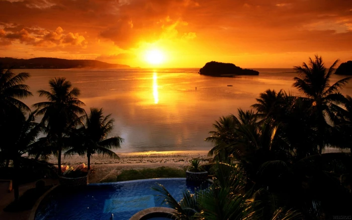 palm trees nature landscape sunlight beach water sky tropical climate 2k