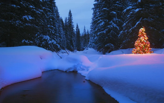 red Christmas tree landscape winter trees snow river night 2k
