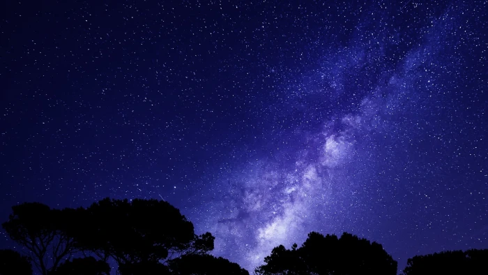 silhouette of trees under blue sky during night stars 2k