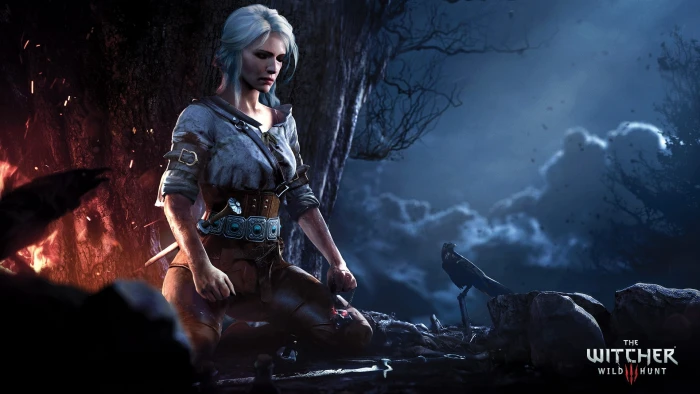 the witcher 3 wild hunt ciri pc gaming adult women night 2k