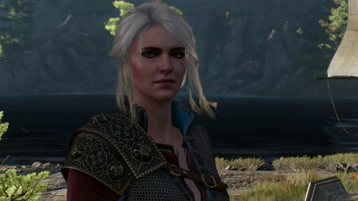 The Witcher 3 Wild Hunt video games CD Projekt RED Cirilla Fiona Elen Riannon 2k