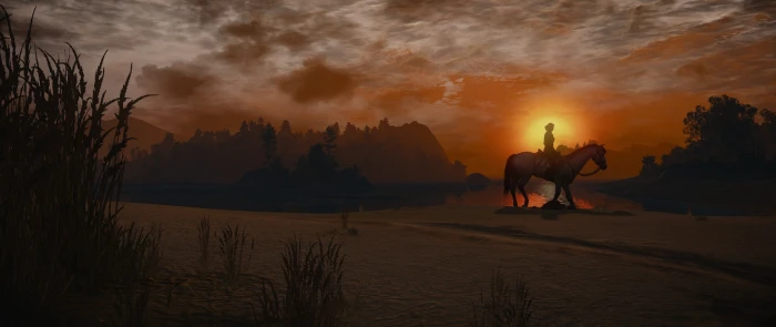 The Witcher 3 Wild Hunt video games horse sunlight sky 2k