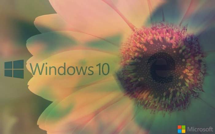 window Microsoft Windows 10 MS DOS XP Vista 2k