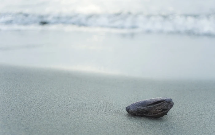 gray stone fragment on top of white surface beach nature sand 2k