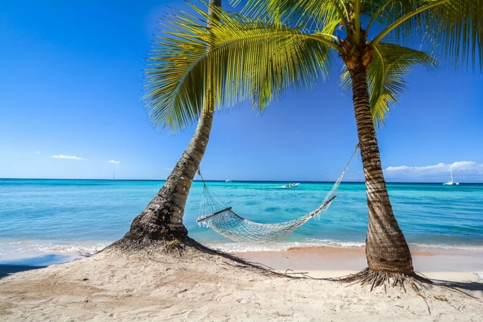 gray hammock between two coconut trees photography landscape