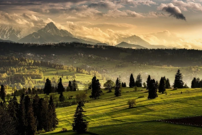 green grass field nature landscape Tatra Mountains forest