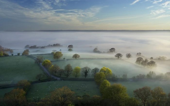 green leaf trees painting nature landscape forest hills morning 2k