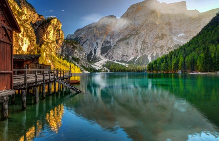 green leafed trees body of water near tall nature photography