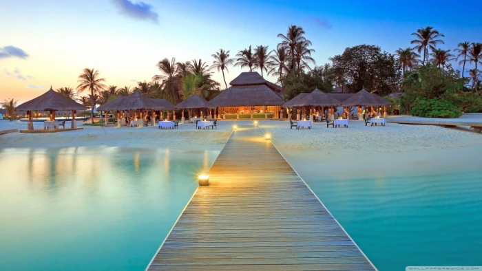 hotel resort tropical pier palm trees beach restaurant