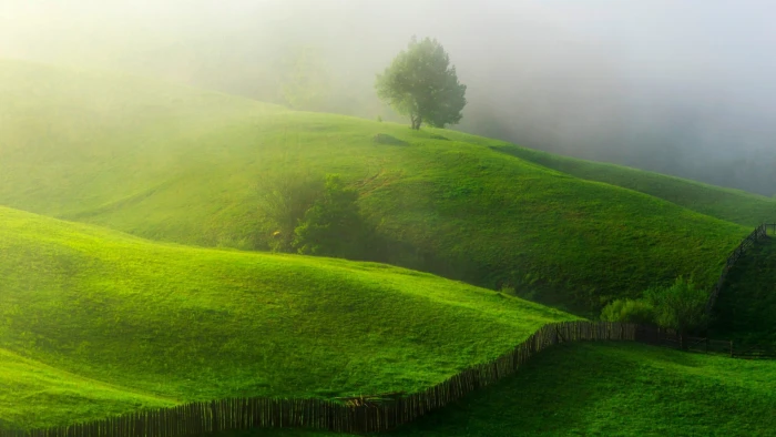 green mountain and trees nature landscape hills mist field 2k