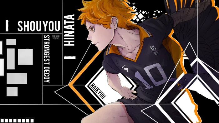 Haikyuu anime boys Hinata Shouyou one person communication 2k