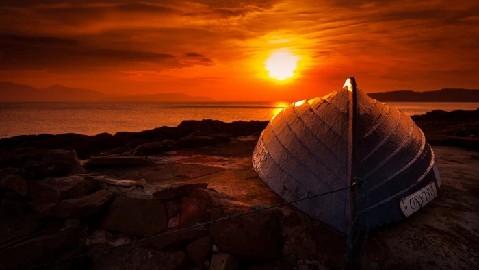 life sun sunset sunrise sky silhouette star dusk orange 2k