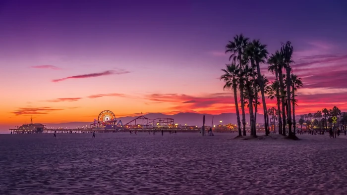Los Angeles palm trees beach 2k