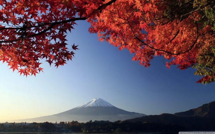 Mount Fuji Japan mountain fall trees mountains sky
