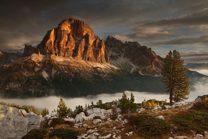 mountains and trees photography of brown mountain at daytime