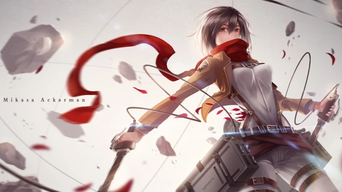 Mikasa of Attack Titans Shingeki no Kyojin anime Ackerman 2k