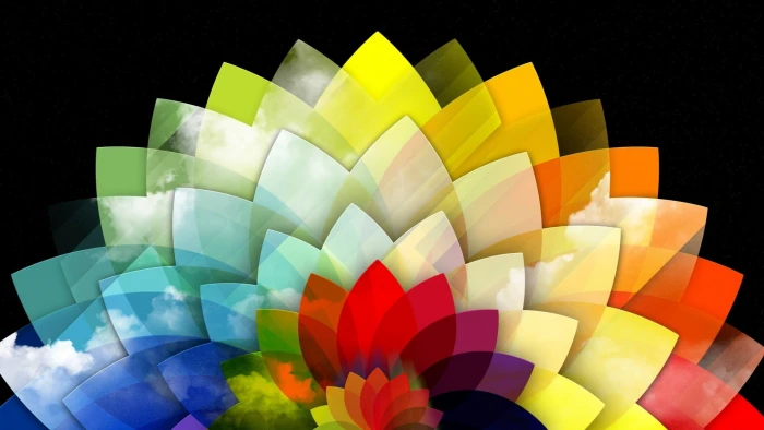 multicolored floral digital wallpaper flowers abstract colorful 2k