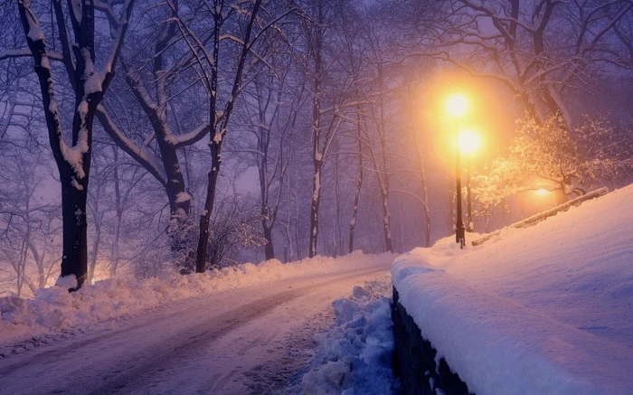 Nature Landscape Lanterns Winter Park Snow Trees Lights Road Cold