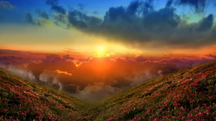 nature sky landscape clouds horizon grass environment 2k