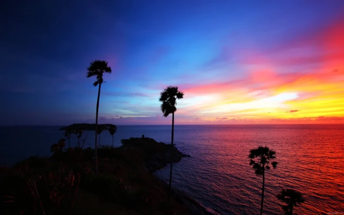 palm trees island sunset landscape sea silhouette sky sunlight 2k