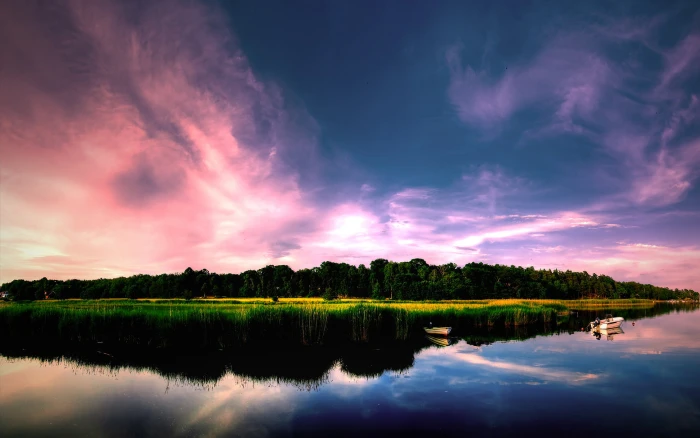 photography of green scenery near body water during sunset 2k