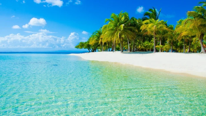 beach island nature landscape tree water tropical climate 2k