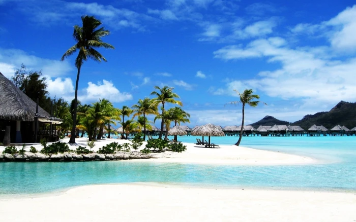 Bora Beach Resort Palm Sea 2k