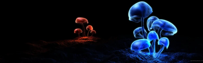 blue and red mushrooms multiple display nature digital art 2k 4k