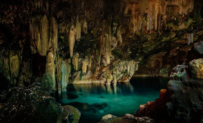 brown and gray cave cenotes stalactites water nature rock formation 2k