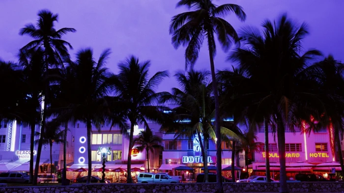 cityscape palm trees Miami Beach 2k