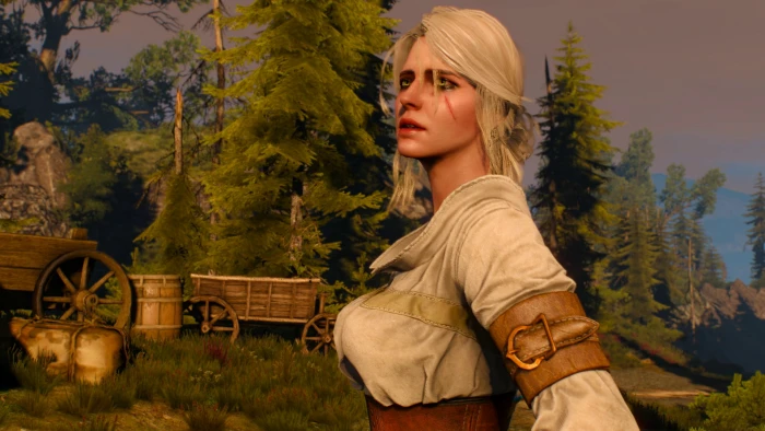 Ciri Cirilla Fiona Elen Riannon The Witcher 3 Wild Hunt 2k