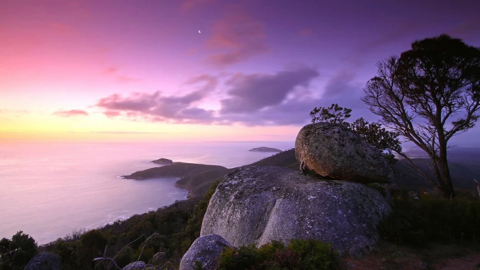 download nature for pc 2k