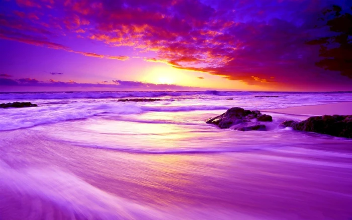 Earth Sunset Beach Cloud Horizon Ocean Purple Sea 2k